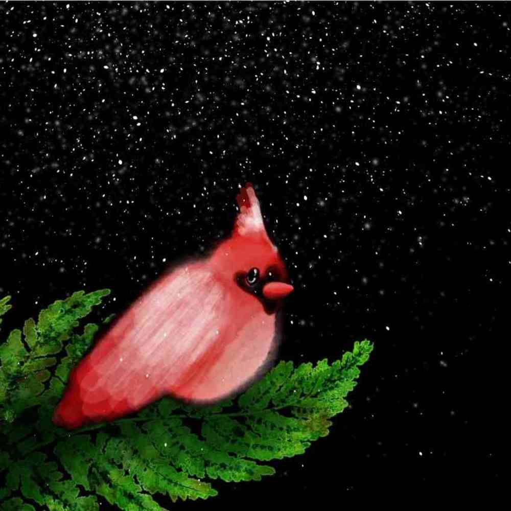 Meet your Posher, Beaniebaby